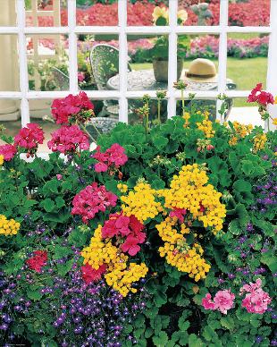 Home &amp; Garden