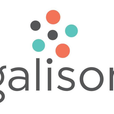 Galison Puzzles