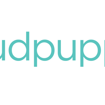Mudpuppy Puzzles