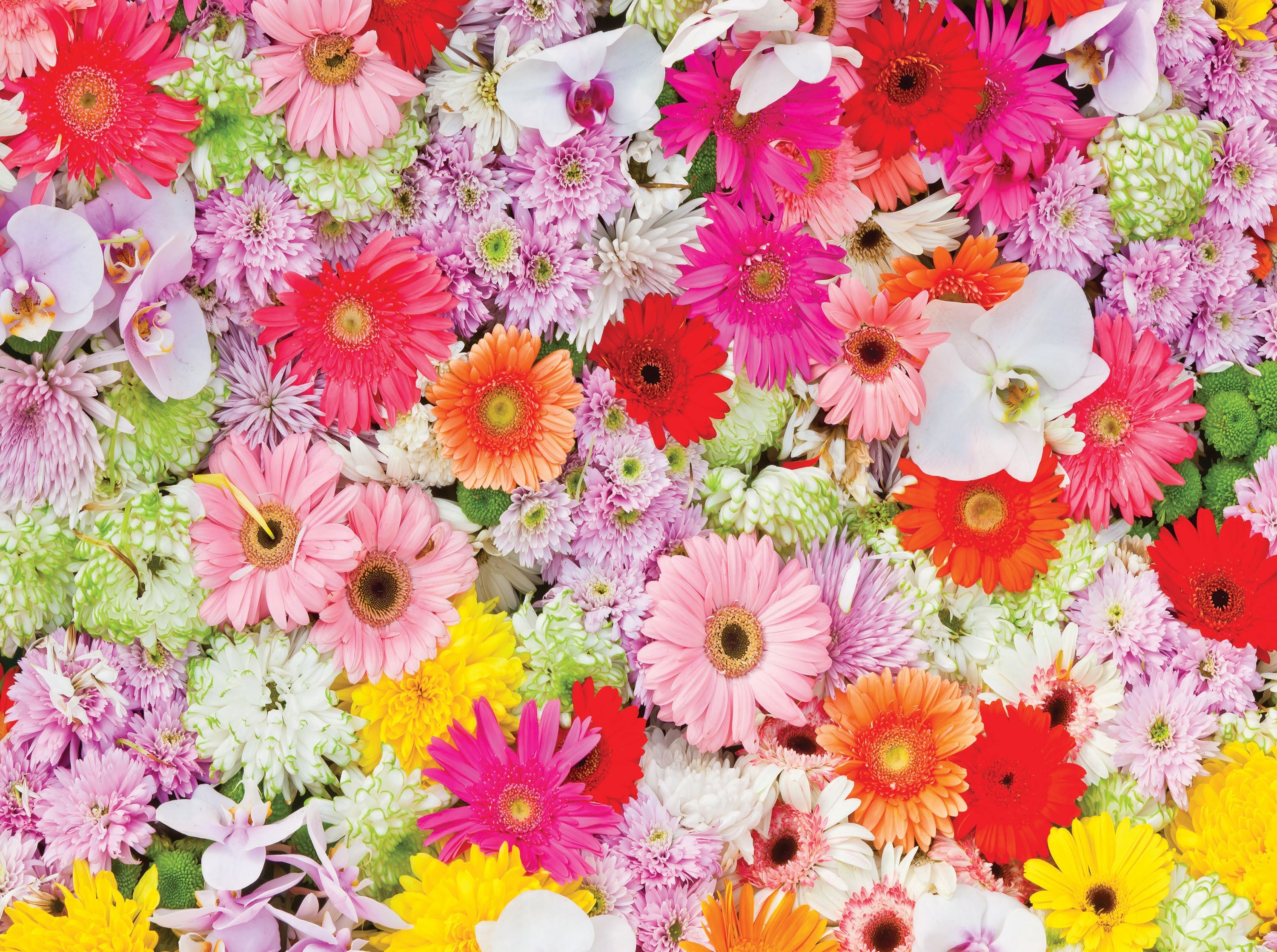 PFG World coloré - Les fleurs colorées (750pcs) (utilisation / utilisée - puzzles pour de bon)