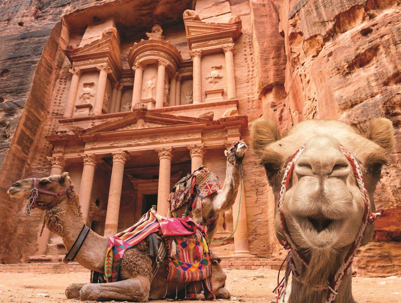 Temps de famille - Camel (200pcs)
