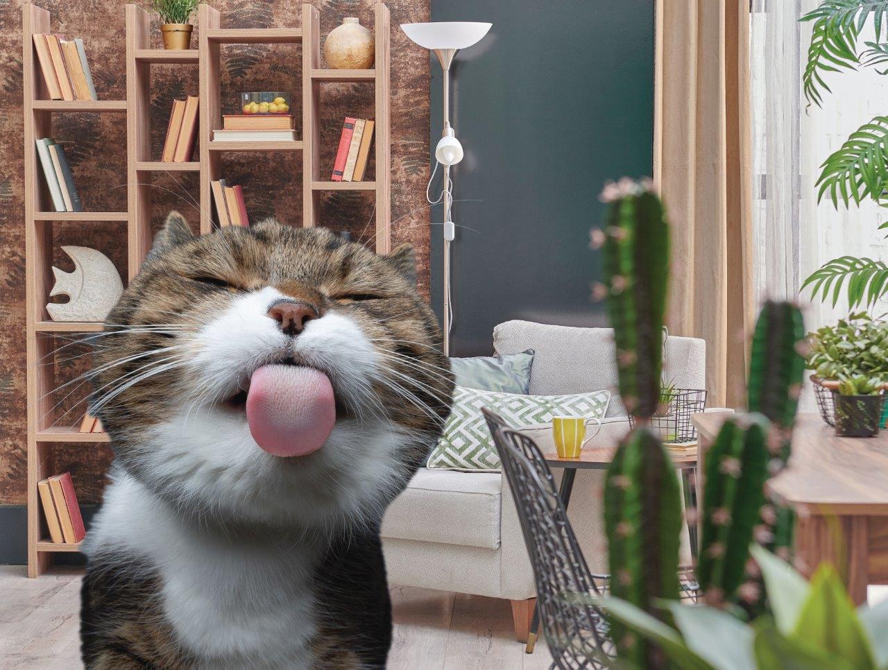 Temps de famille - Licking Cat (200pcs)