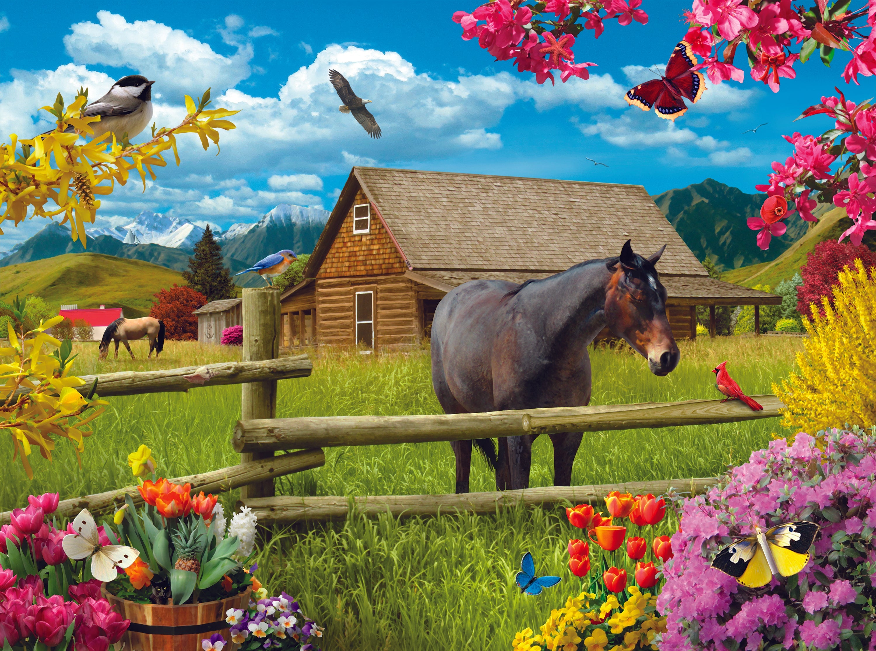 DMG Dr. Puzzle - Springtime on the Range, Alan Giana (1000pcs) (boîte endommagée)