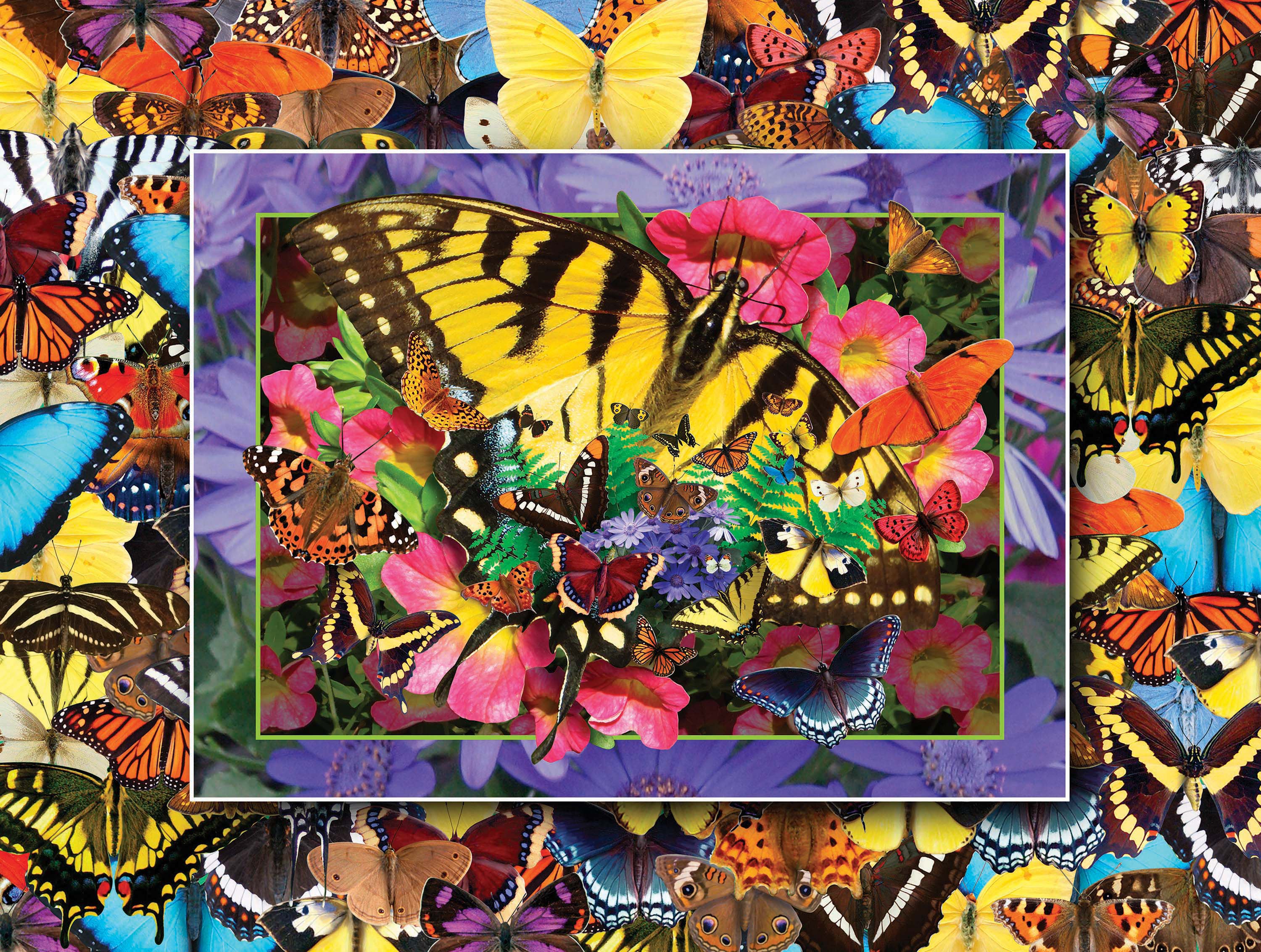 PFG Flights of Fancy - Butterfly Heaven I (550pcs) (utilisation / utilisée - puzzles pour de bon)