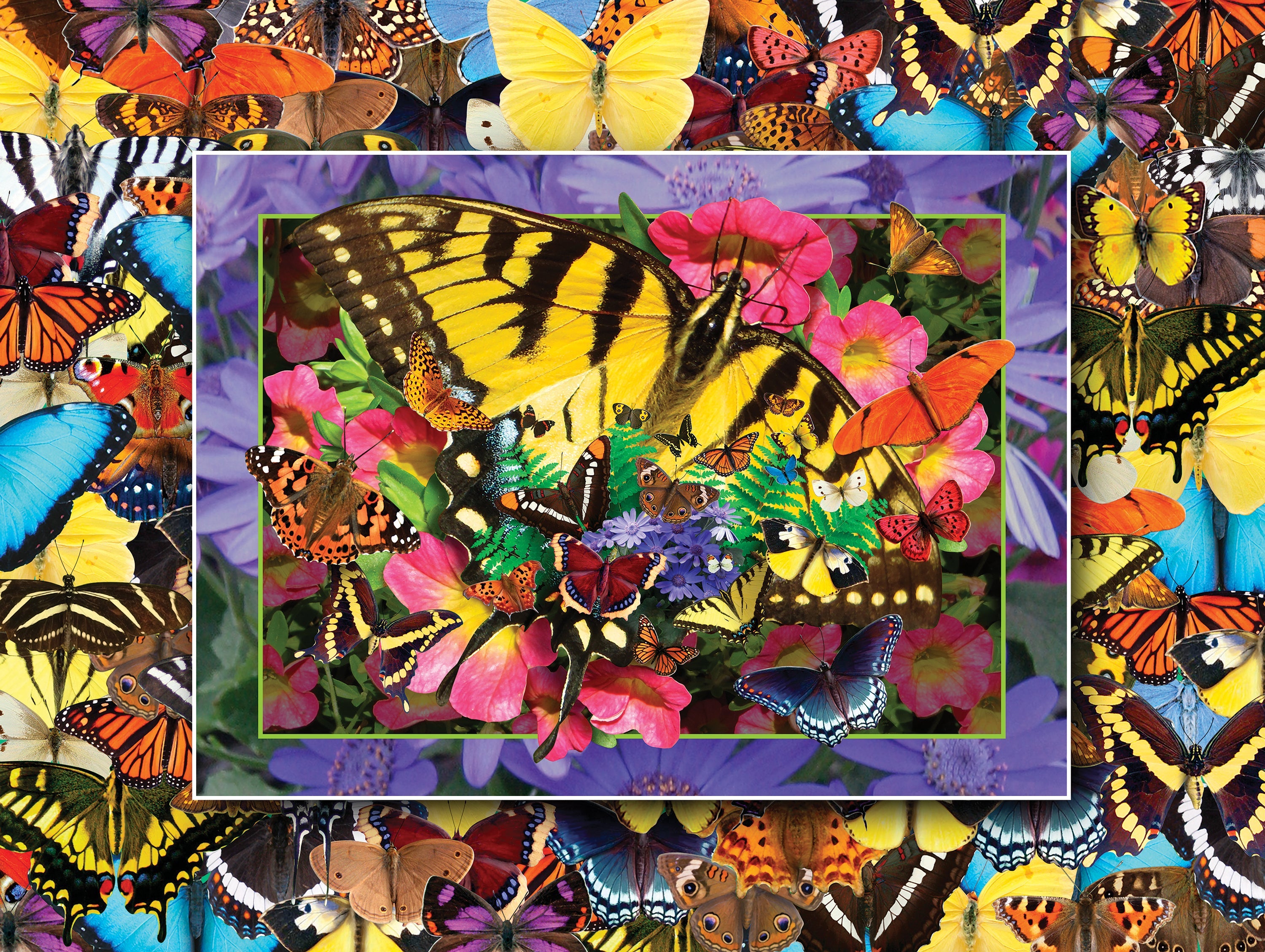 PFG Flights of Fancy - Butterfly Heaven, Alan Giana (550pcs) (Usage/Used - PUZZLES FOR GOOD)