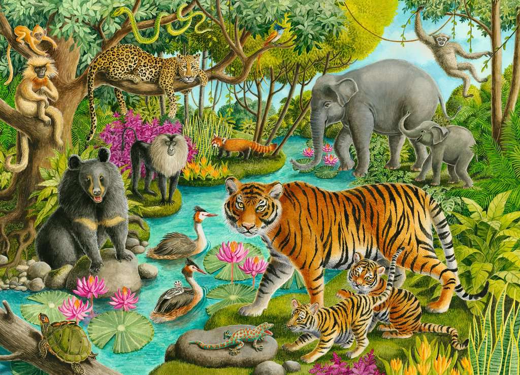Ravensburger Animals of India (60pcs)