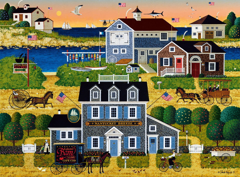 DMG Witch's Bay, Charles Wysocki (1000pcs) (boîte endommagée)