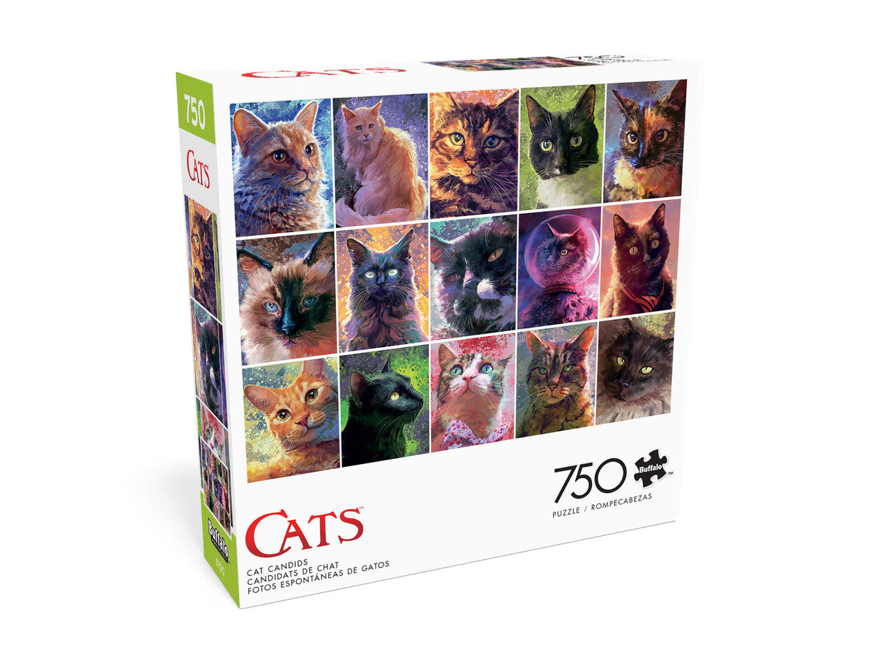 Chats - candids de chat (750pcs)