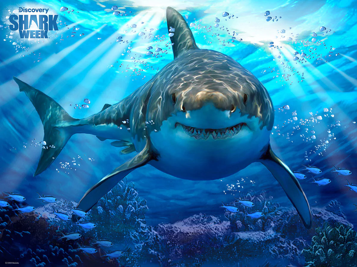 Discovery Shark Week - Great White Shark (3D Puzzle) (500pcs)