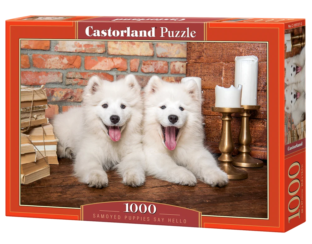 Les chiots Samoyed disent bonjour (1000pcs)