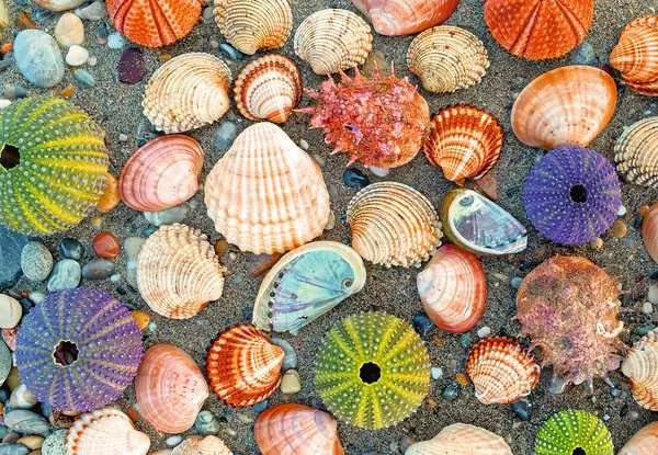 Ravensburger Puzzle Moment - By The Seashore (300pcs)