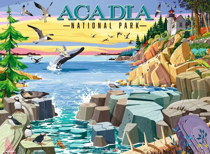 Ravensburger Acadia National Park (500pcs)