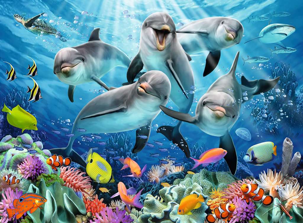 Ravensburger Dolphins in the Coral Reef (500pcs)