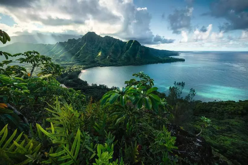Ravensburger Hawaiian Viewpoint (5000pcs)