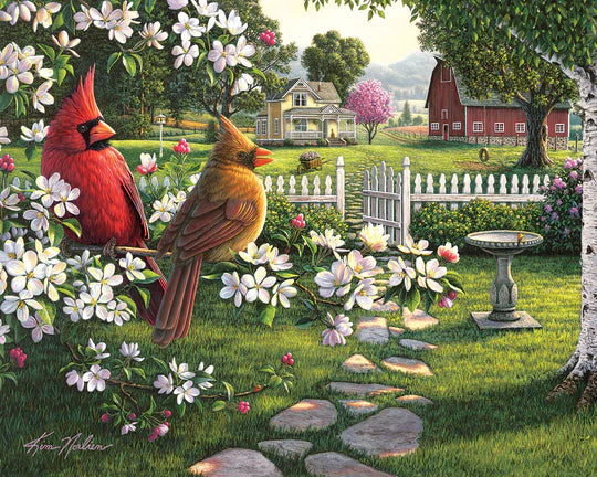 Seek & Find - Country Life, Kim Norlien (1000pcs)