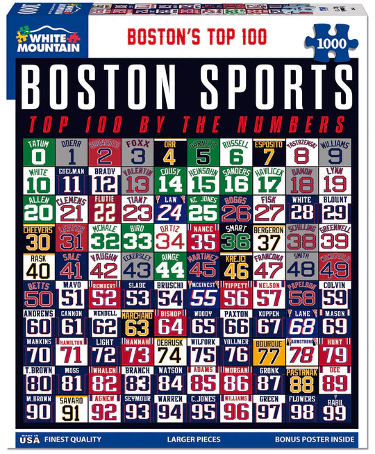 PFG Boston's Top 100 (1000pcs) (Usage/Used - PUZZLES FOR GOOD)