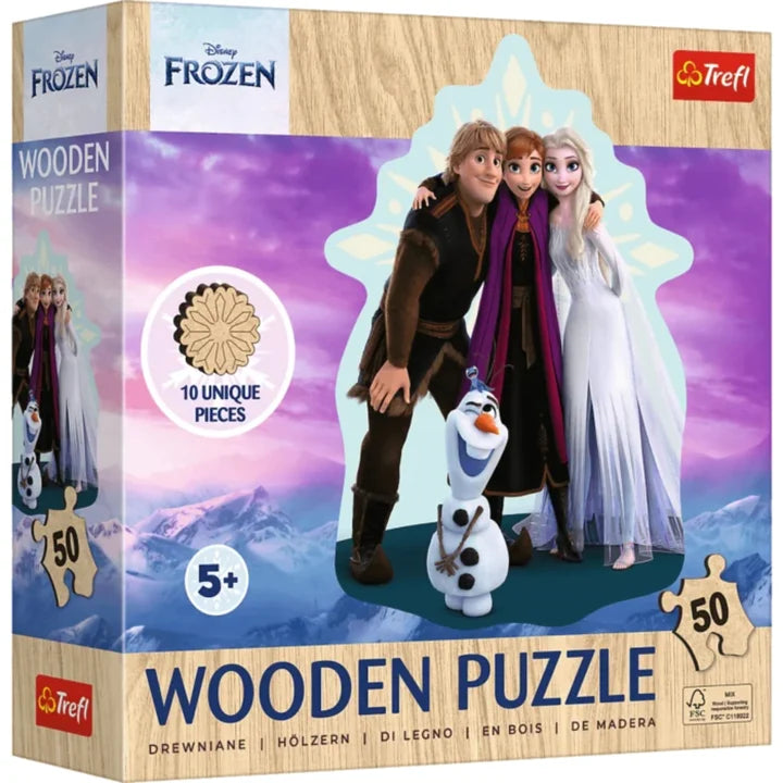 DMG Disney - Favorite Frozen (WOOD) (50pcs) (DAMAGED BOX)
