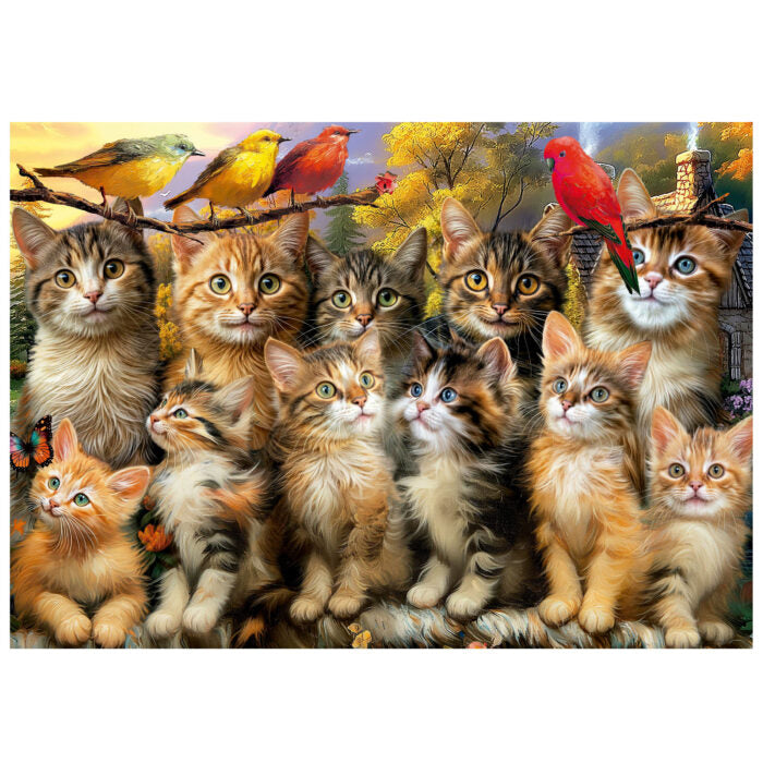 Kittens and Birds (500pcs)