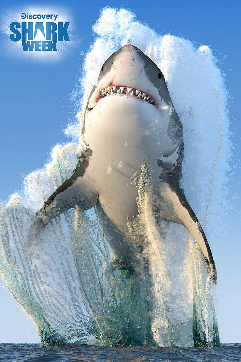 Discovery Shark Week - Great White Shark (3D Puzzle) (150pcs)
