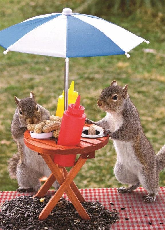 Squirrel Feeder (350 BIG pcs)