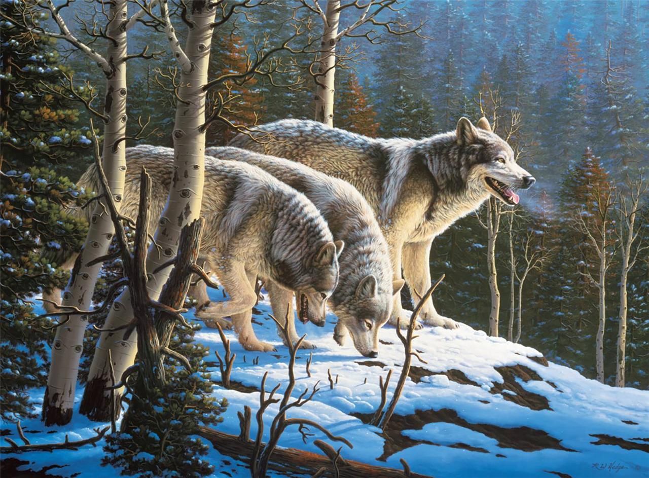 PFG Wolves, R.W. Hedge (Usage/Used - PUZZLES FOR GOOD)