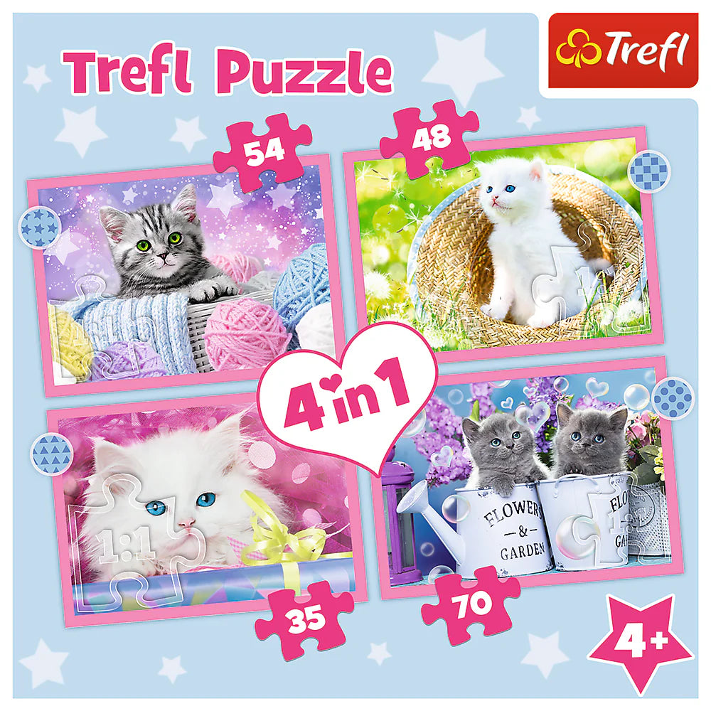 4-in-1 Fun Cats (35, 48, 54, 70 pcs)
