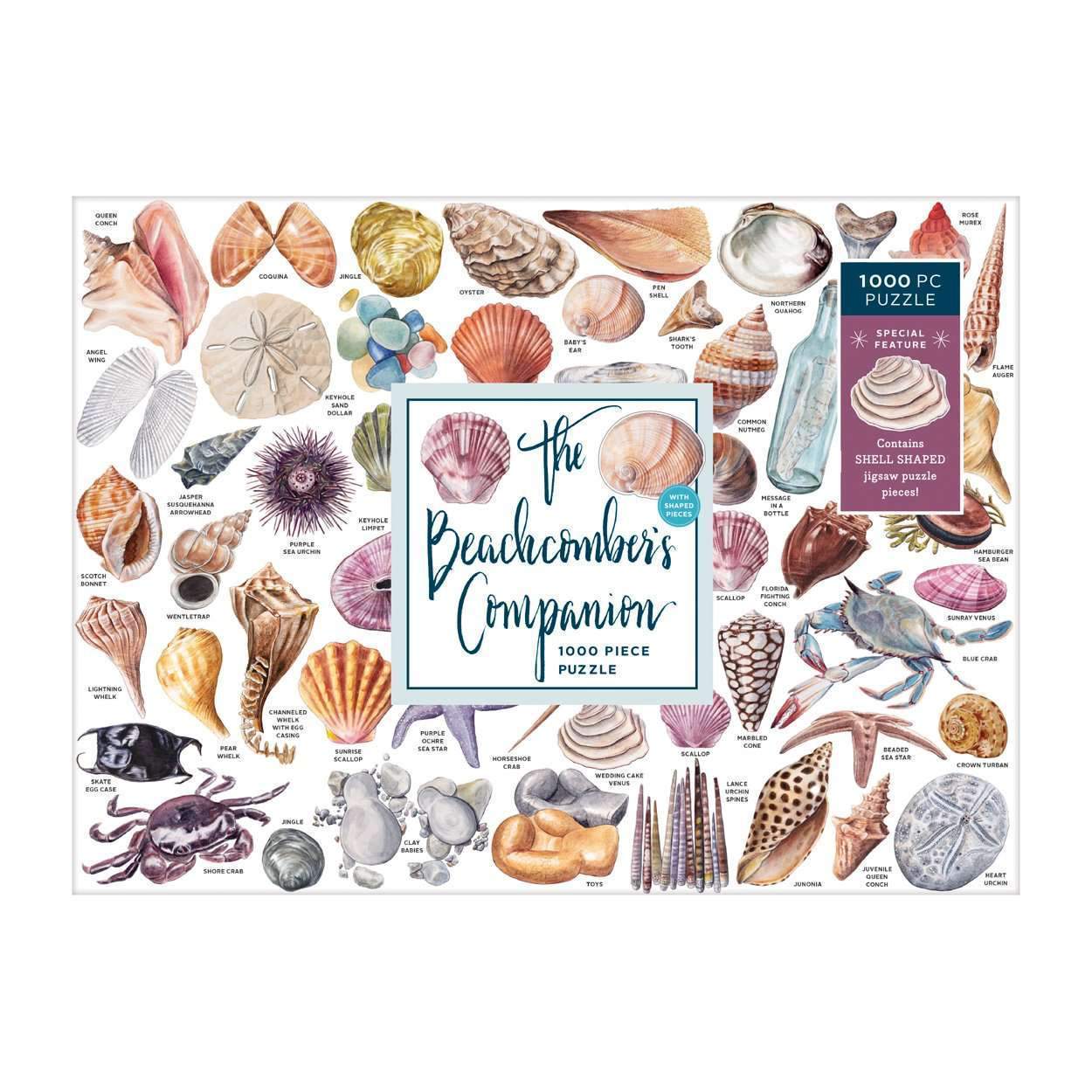 PFG The Beachcomber's Companion (Usage/Used - PUZZLES FOR GOOD)