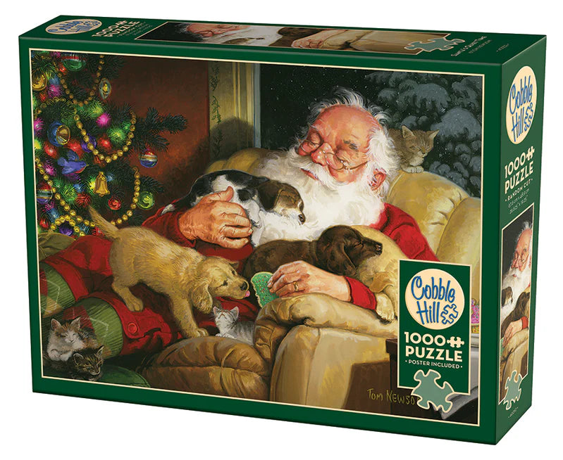 Le temps calme du Père Noël, Tom Newsom (1000pcs)