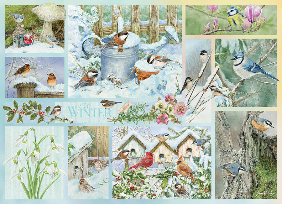 Garden Birds in Winter (500pcs)