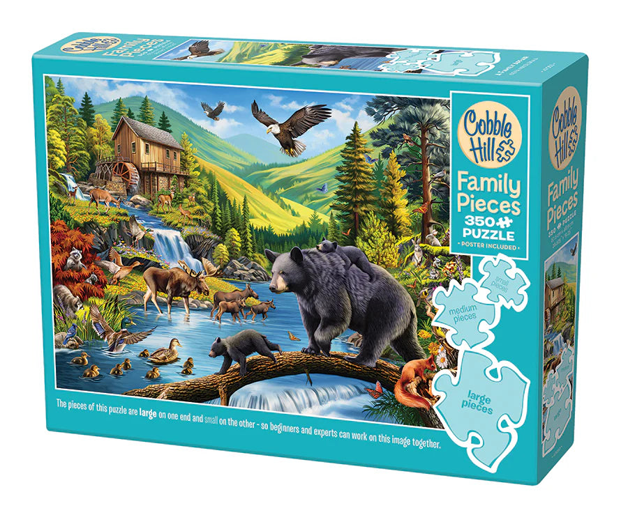 A Family Affair (Family - 350pcs)