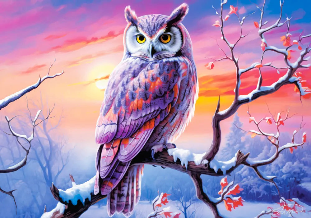 Owl's Perfect Evening (500pcs)