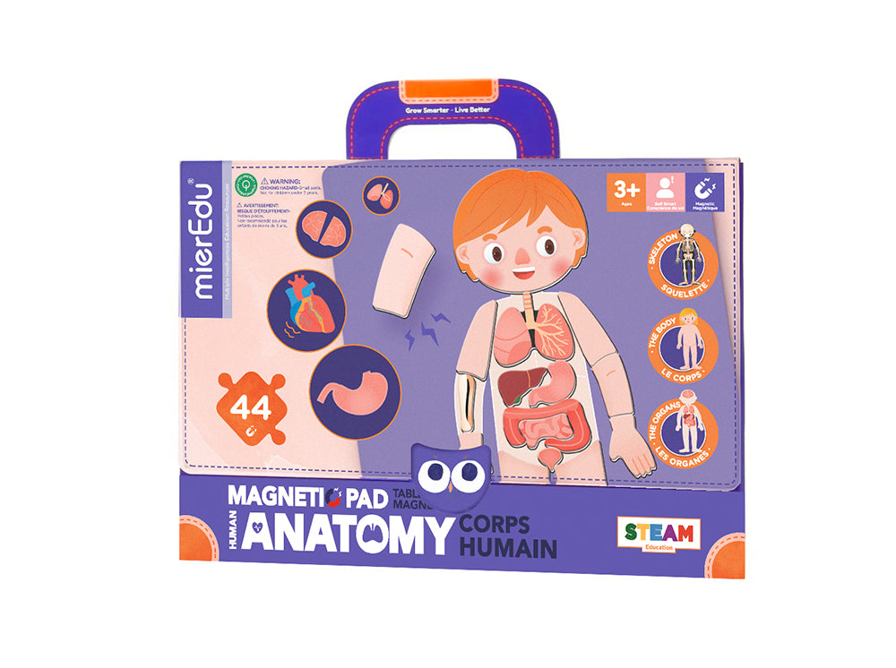 Magnetic Pad - Anatomy