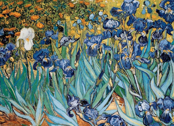 Irises (Iris), Van Gogh