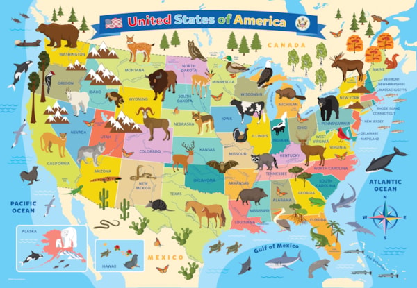 Map of USA (100pcs)