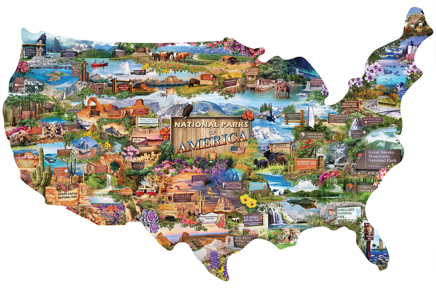 Shapes - National Parks of America (1000pcs)