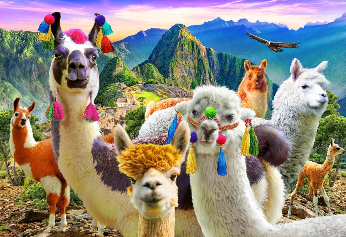 Llamas de montagne, Adrian Chesterman (100pcs)