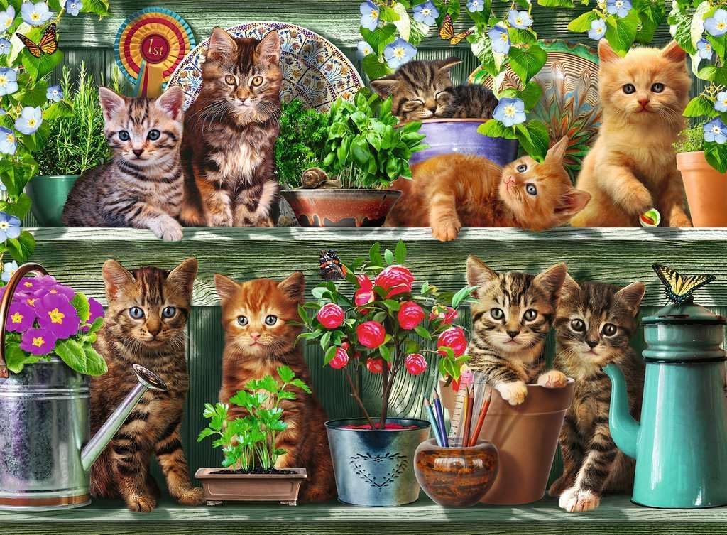 Chats Ravensburger sur l'étagère (500pcs)
