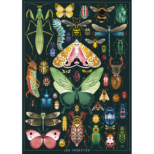 DMG Collection Artiste - Les Insectes, Rebecca Romeo (1000pcs) (DAMAGED BOX)