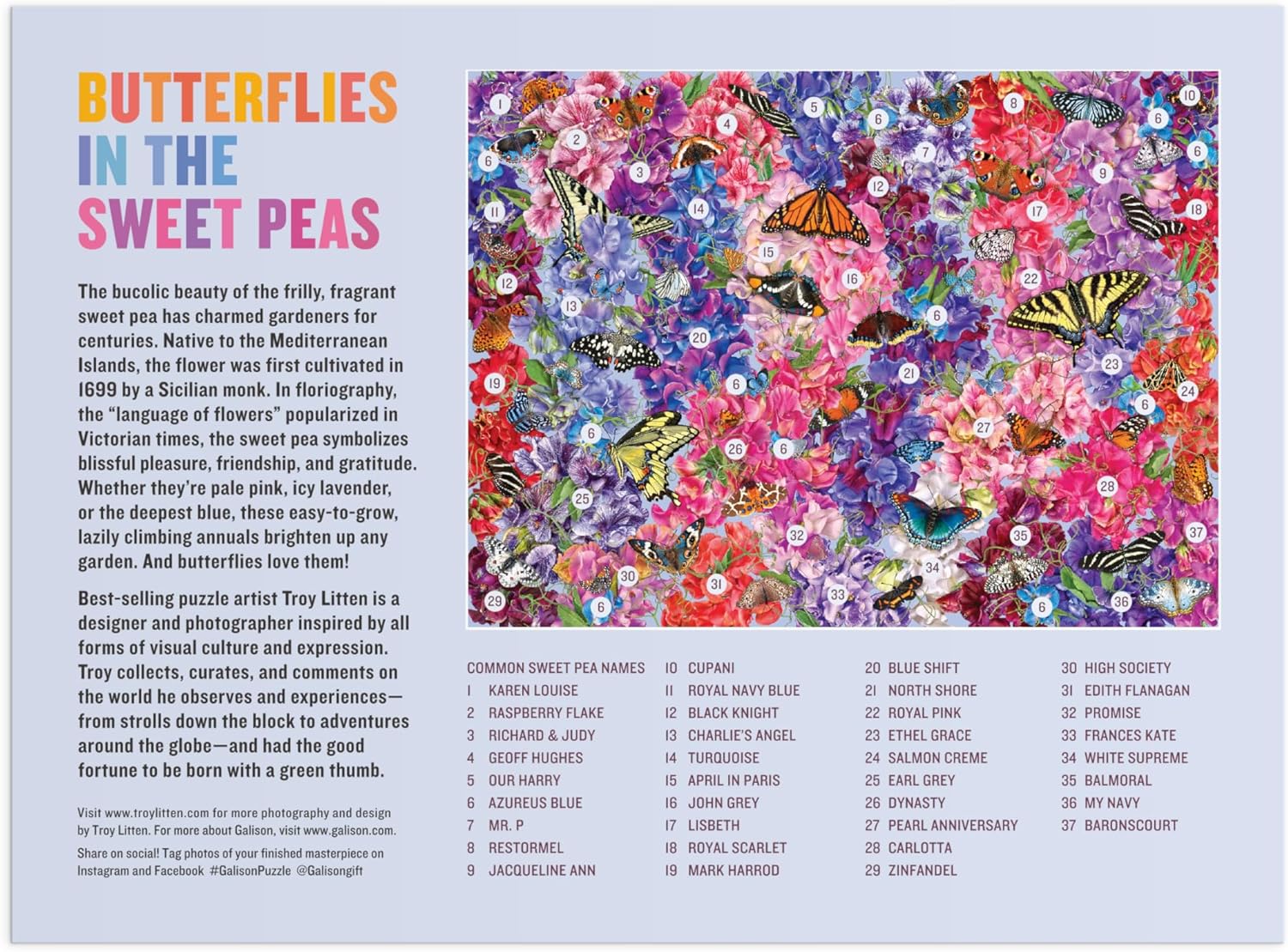 Papillons dans les pois sucrés (1000pcs)