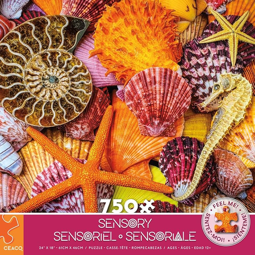 Étoiles de mer et coquilles (750pcs) (sensorielle)