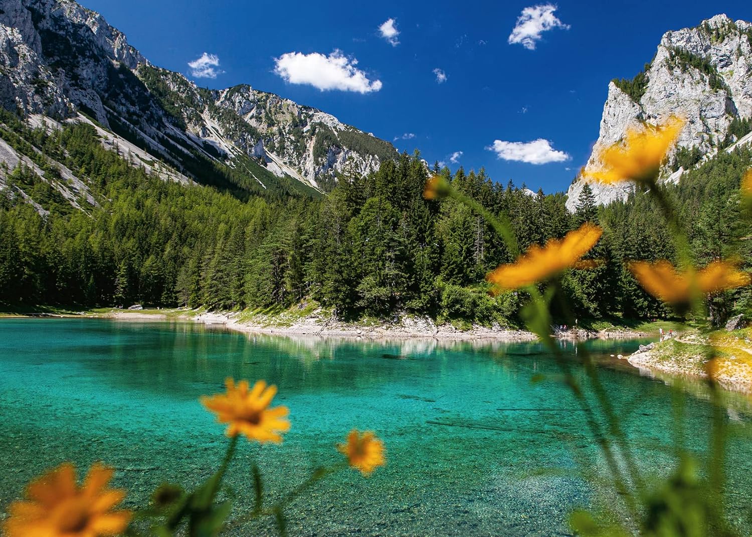 Collection Ravensburger Osterreich - Green Lake près de Tragöss (1000pcs)