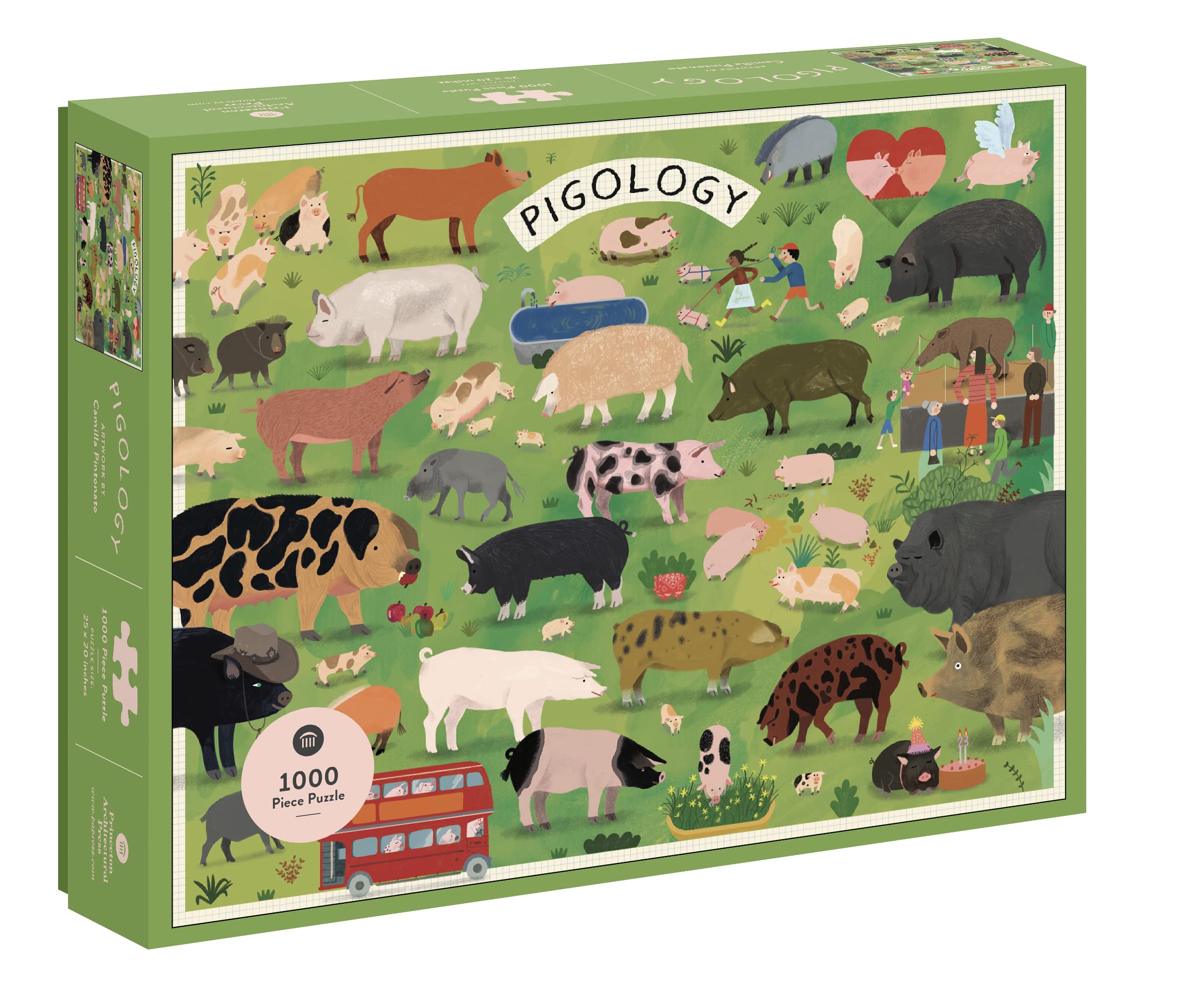 Pigology (1000pcs)