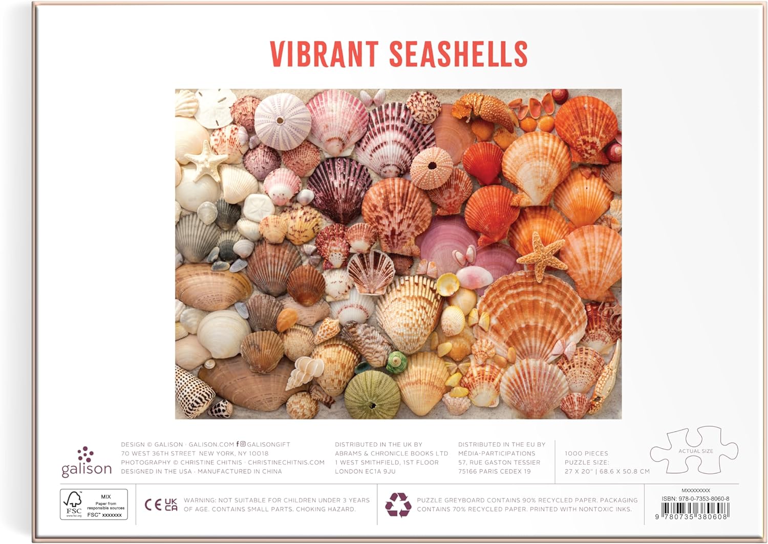 DMG Vibrant Seashells (1000pcs) (DAMAGED BOX)