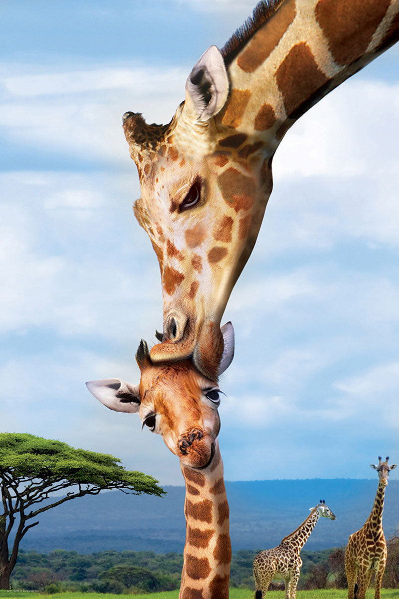 Girafes - Save Our Planet Collection (250pcs)