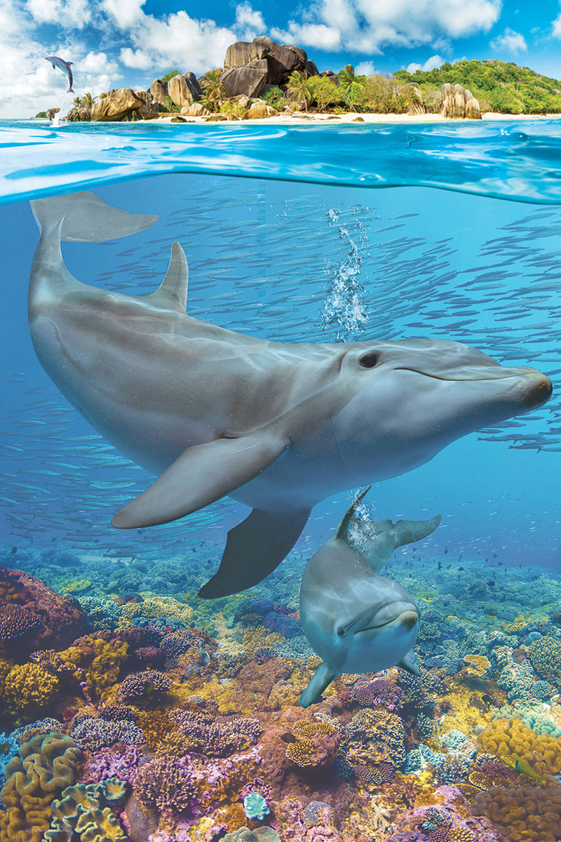 Dolphins - Save Our Planet Collection (250pcs)