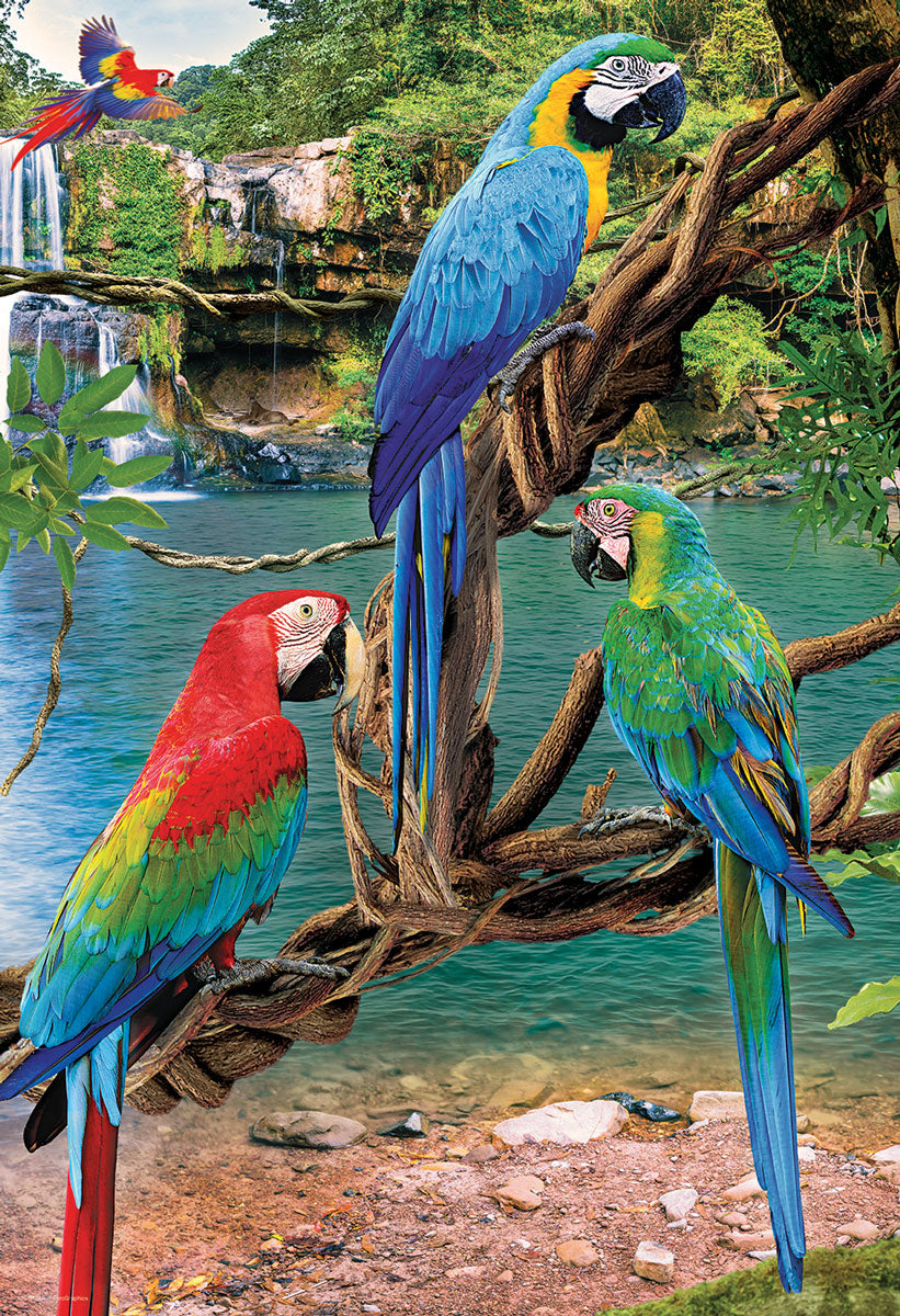 Macaws - Save Our Planet Collection (250pcs)