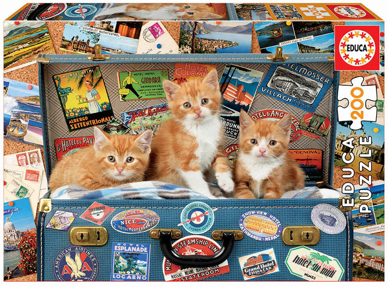 Travelling Kittens (200pcs)
