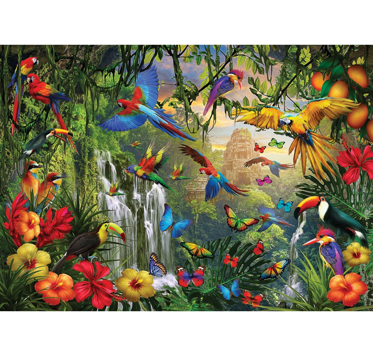 Paradis d'oiseau tropical (500 grands)