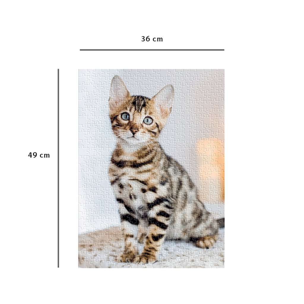 Chaton Bengal (500pcs)