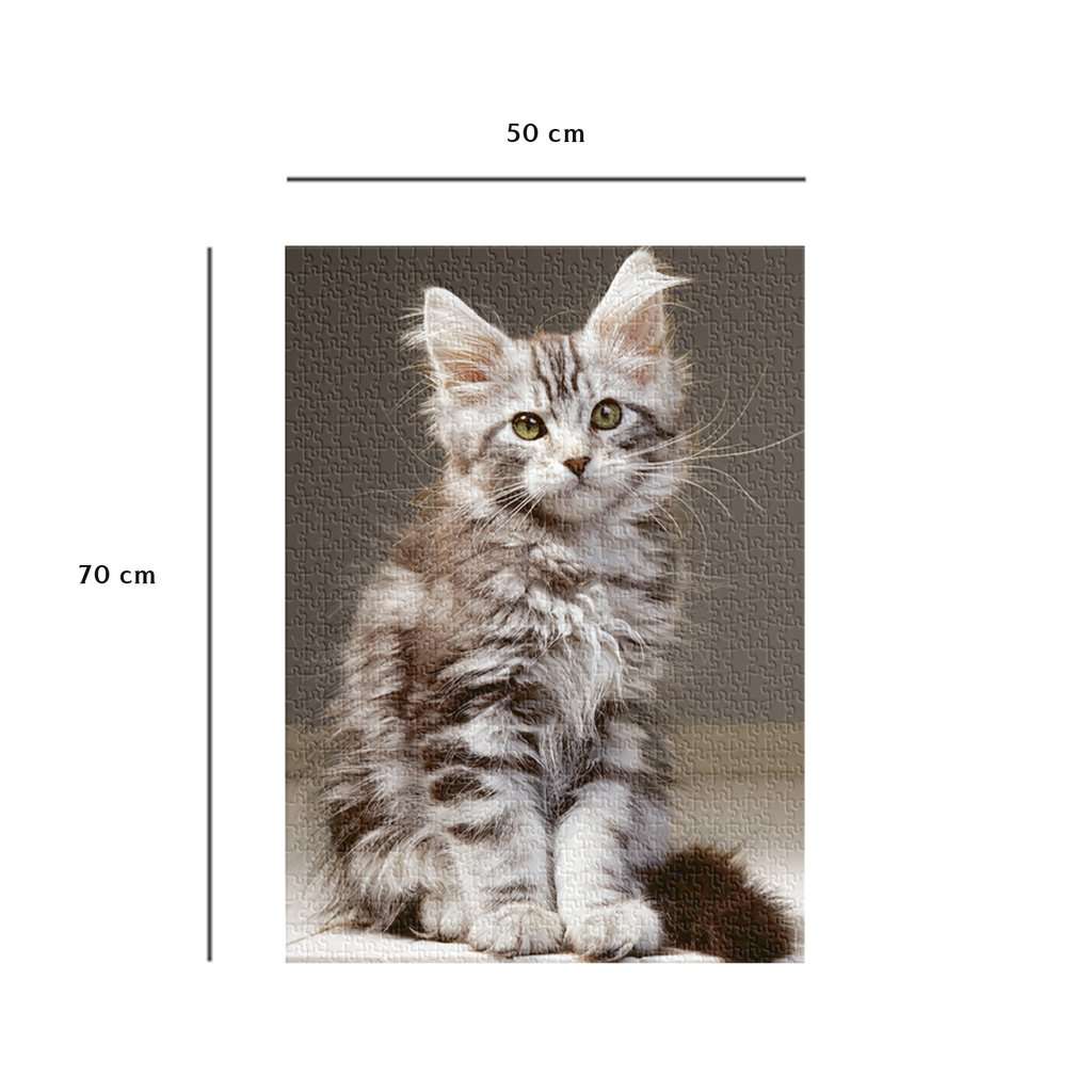 Collection Tendresse - Le Chaton Maine Coon (1000pcs)